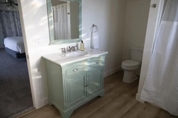 bathroom w green vanity