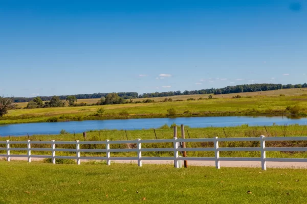 creek & fence