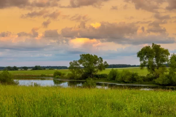 creek, trees at sunset