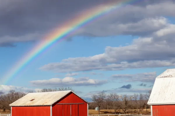 rainbow & red buildings